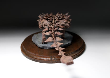 ズール・クルリヴァスタトル 　1/24スケール　組立キット