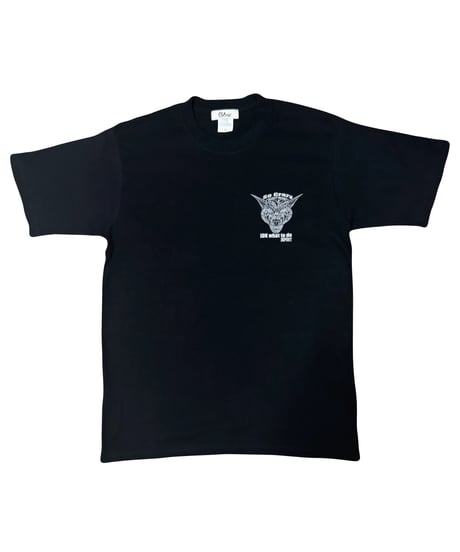 CRAZY T