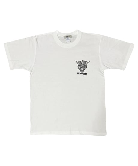 CRAZY T