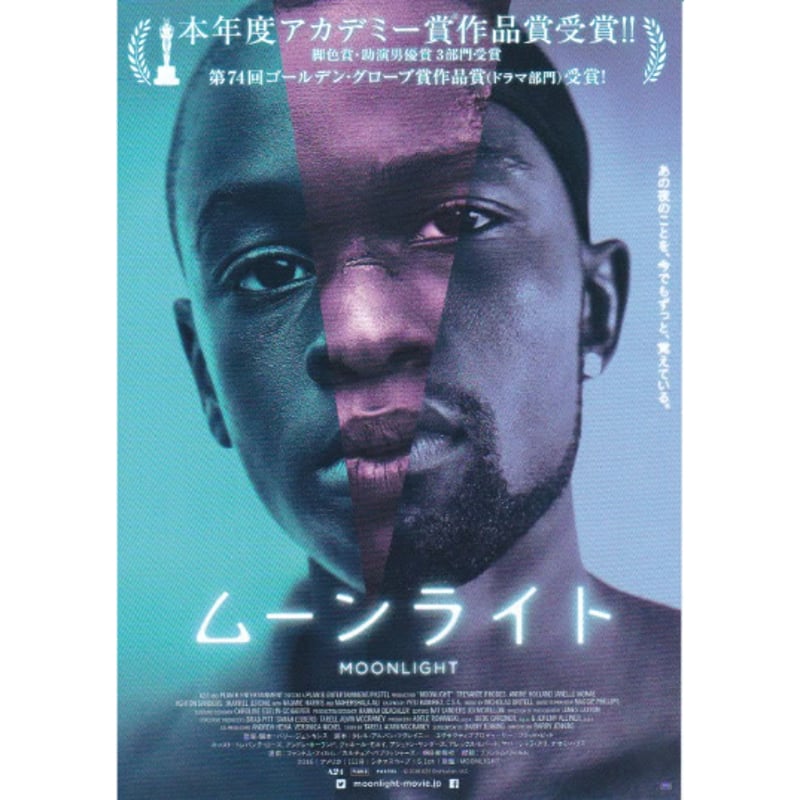 ムーンライト［D］ | 《マイ・シネマパラダイス》―映画チラシ―