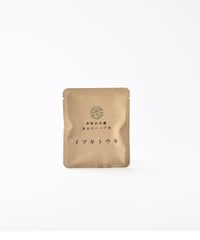 春日のハーブ茶｜ｲﾌﾞｷﾄｳｷ