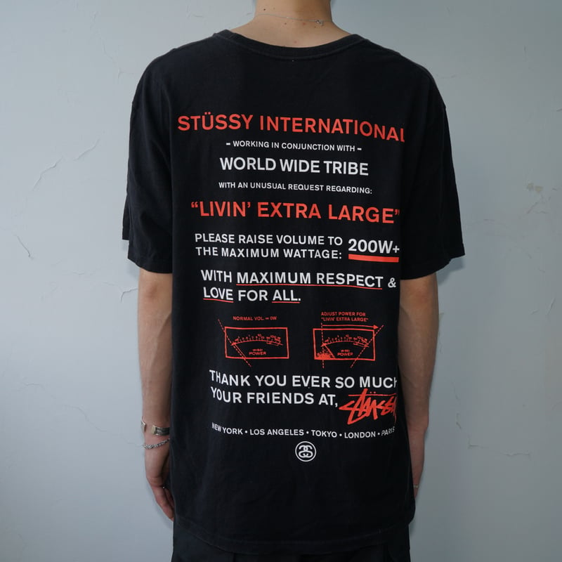 ステューシー インターナショナル Tシャツ STUSSY INTERNATIONAL T-sh