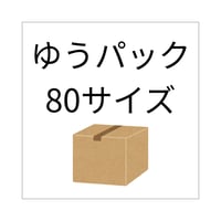ゆうパック80サイズ