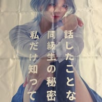 同級生 A0布ポスター