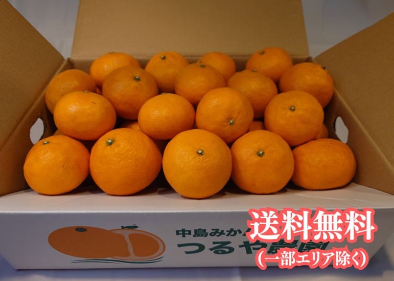 カラマンダリン 約4kg ＜準備中＞ | つるや農園