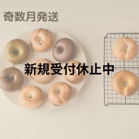 【奇数月発送】生米ベーグル１０個定期便（定番８種+季節２種）
