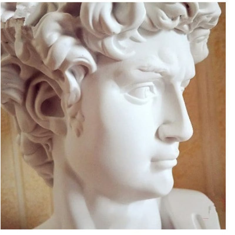 インテリアとしてもスケッチ練習用としてもOK！】ミケランジェロ