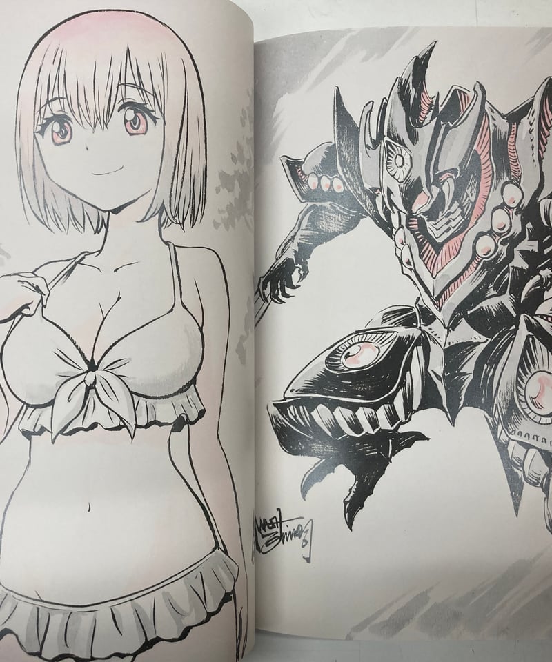 西川伸司原画集 怪獣がいる風景 | バブオ堂