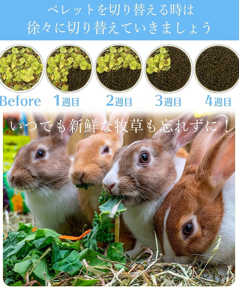 当サイト限定価格】Burgess バージェス エクセル ジュニア