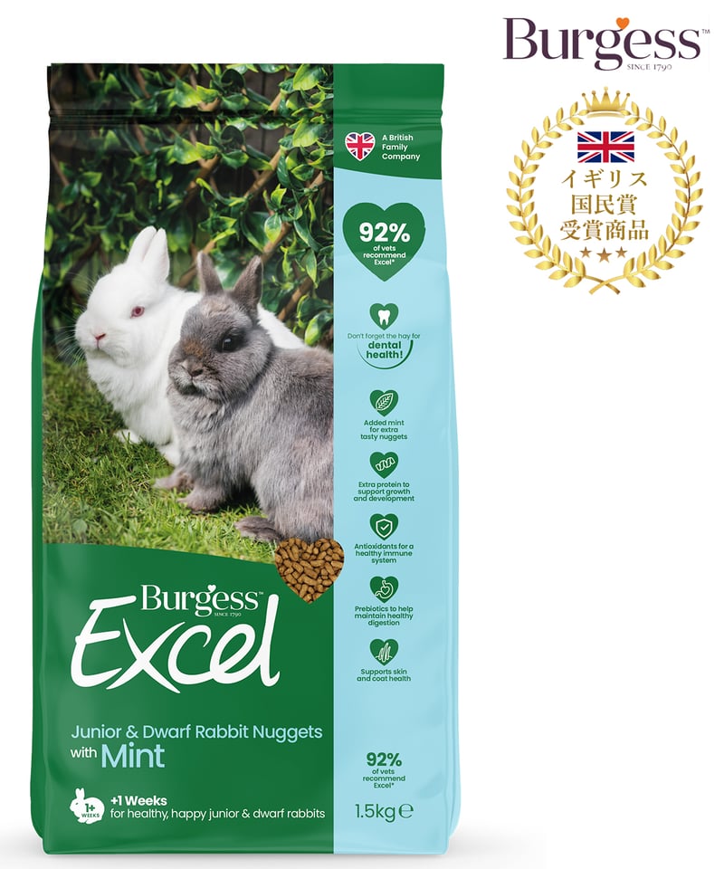 ☆うさぎページです☆ うさぎのしっぽ通販は、『うさぎと暮らす82号』を全国へお届け