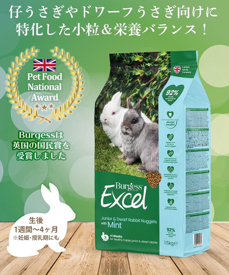 うさぎ。ページ うさぎページ うさ@ページ まっきーページ The ZX Mechtrum