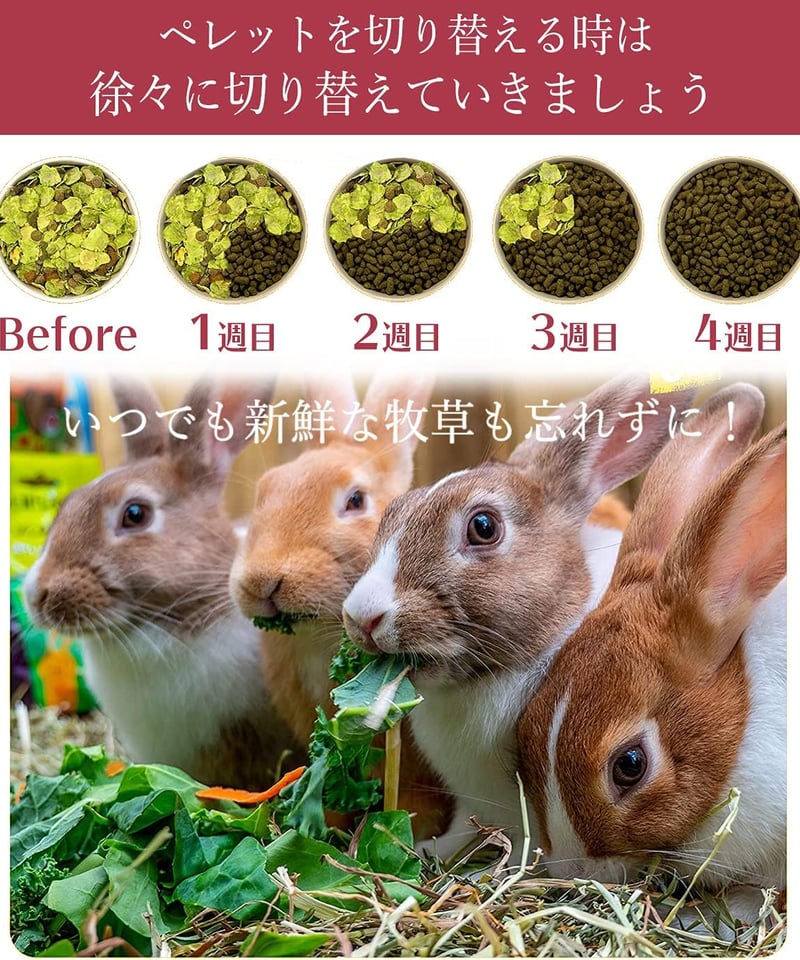 当サイト限定価格】Burgess バージェス エクセル【マチュア