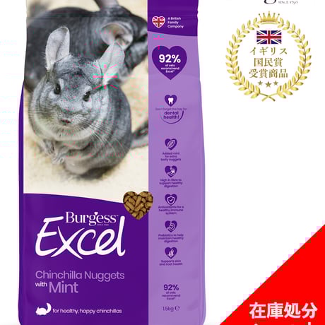 最後の一点！デンマーク産コペンハーゲン社 チンチラ 最後の一点！デンマーク産コペンハーゲン社 チンチラ