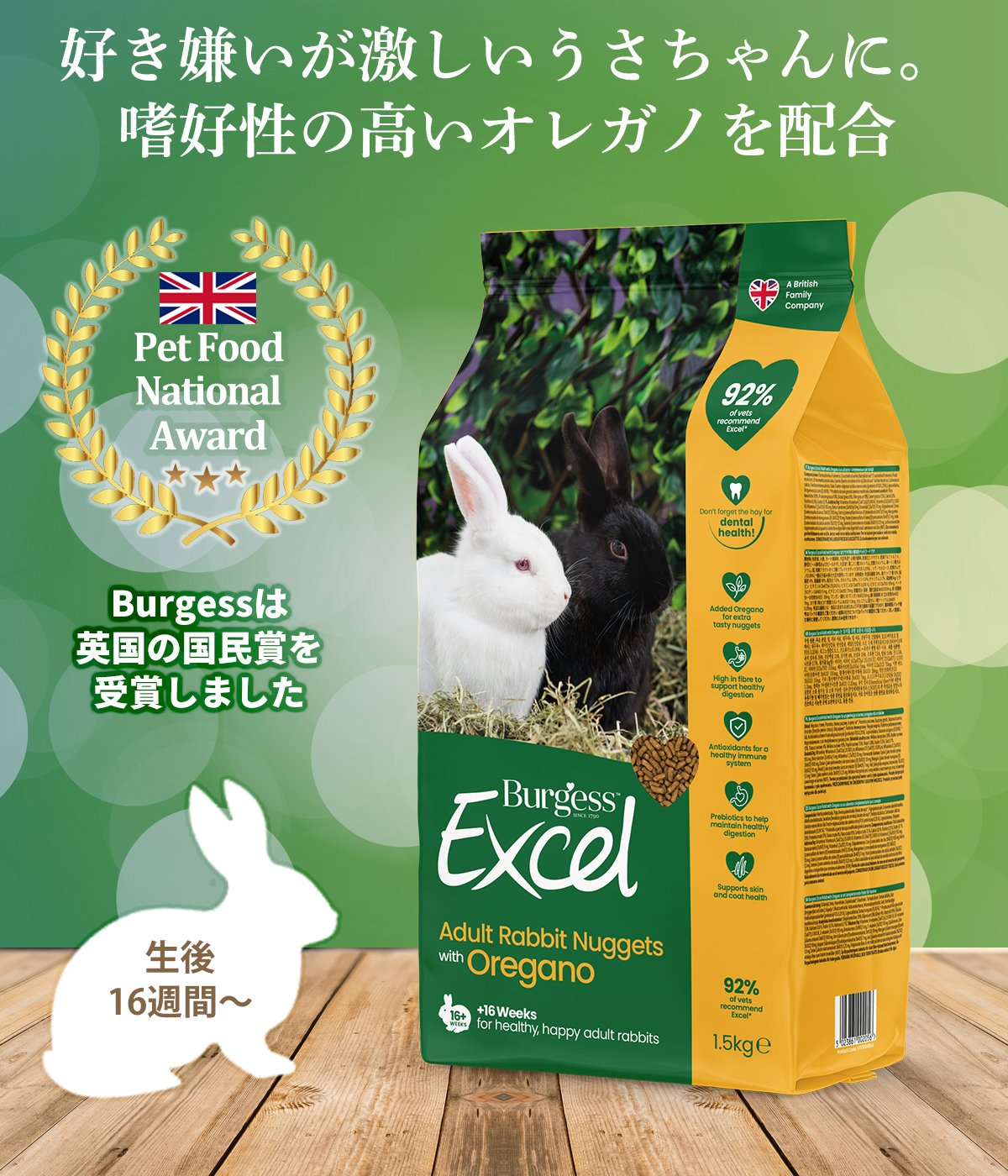 うさぎりんページ うさぎりんページ ウサギ(Bold Blue) ｜ トーヨーキッチン