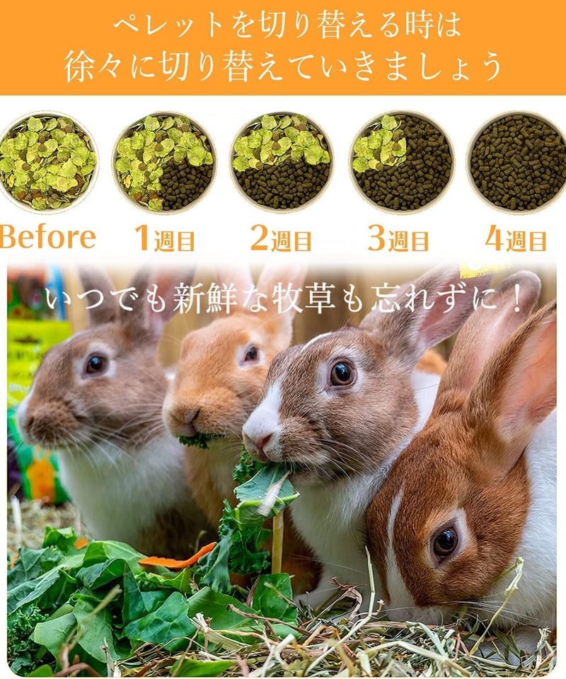 当サイト限定価格】Burgess バージェス エクセル【オレガノ