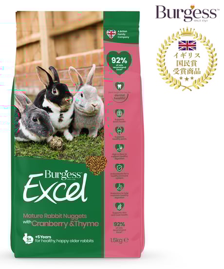 うさぎページ　2点まとめ買い うさぎのしっぽ通販は、『うさぎと暮らす』を全国へお届け