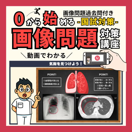 【看護国試】画像問題対策セット