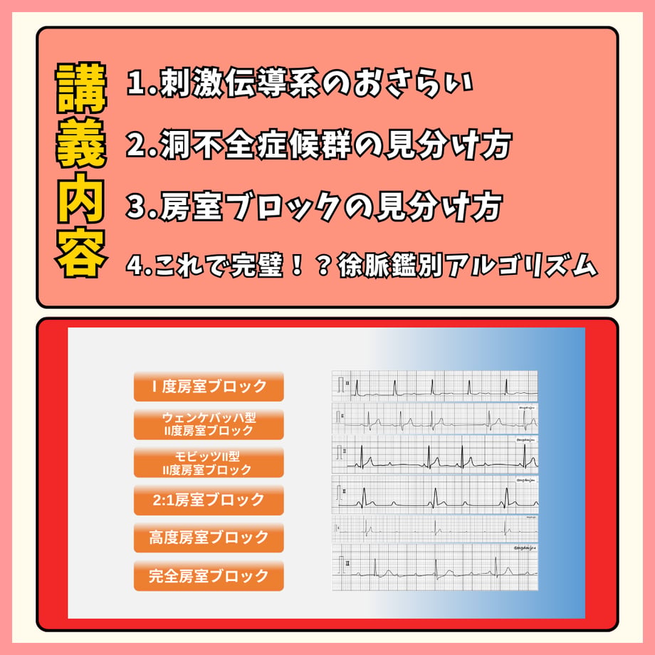 66bef91c39cb4e0691422205