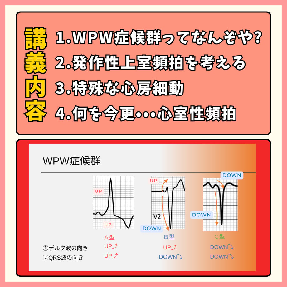 66bef91c39cb4e0691422205