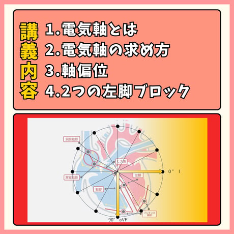 心電図検定3.4級対策動画単品 ー③電気軸と軸偏位ー