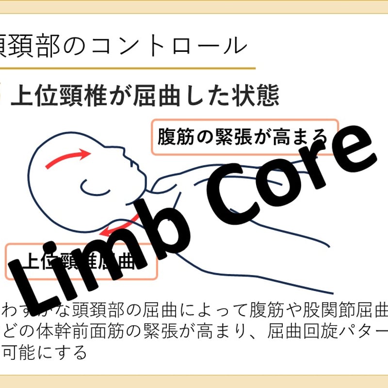 寝返り動作 完全マスターブック ～概念と運動要素～ | Limb Core