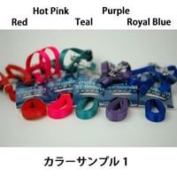 ハーネスリードセット【フェレット セット お散歩 外出】