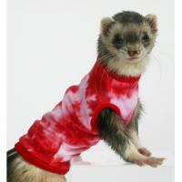 Tシャツ【フェレット しぼり 服 さわやか】
