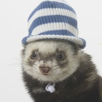 バイザーキャップ【フェレット ニット 帽子 おしゃれ】