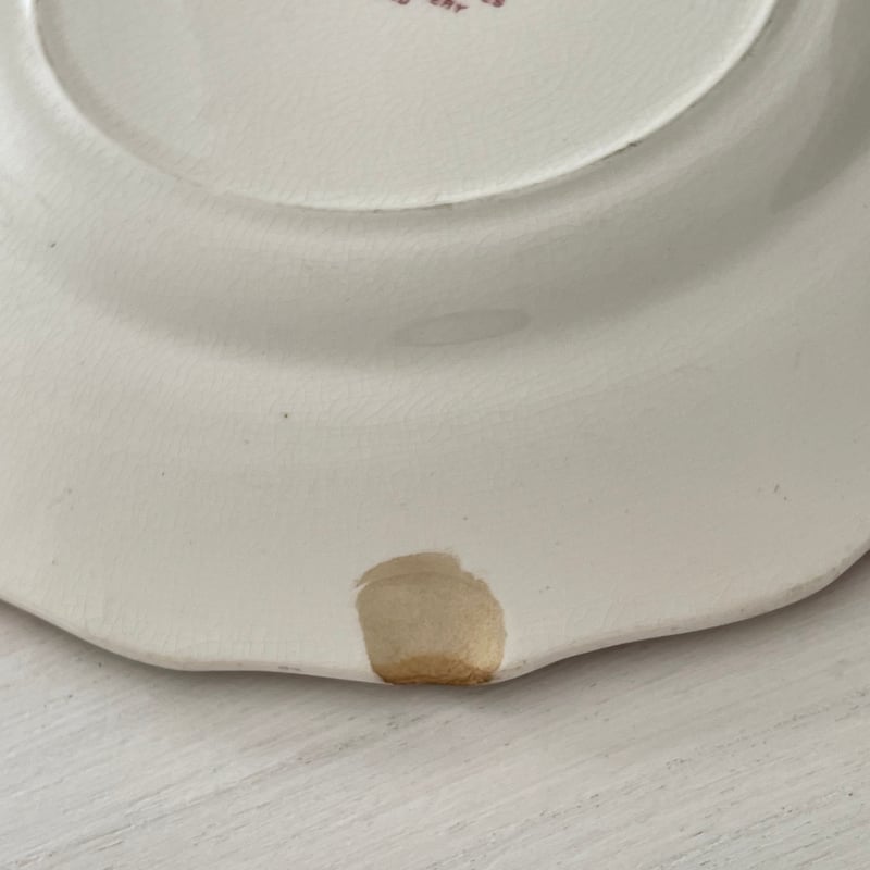 PALISSY POTTERY イングランド　ヴィンテージ食器プレート6枚セット PALISSY POTTERY イングランド ヴィンテージ食器プレート6枚セット