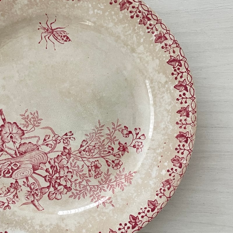 フランスアンティーク アネモネ terre de fer 大皿 フランスアンティーク アネモネ terre de fer 大皿