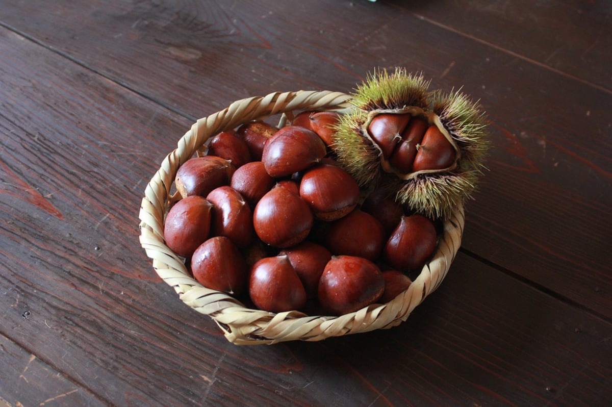 熟成ぽろたん（農薬不使用/1kg） | 那須栗園