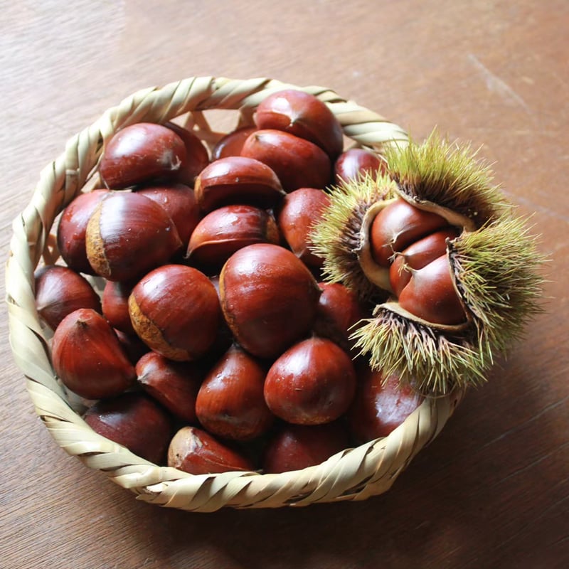 MARIA　農薬不使用生栗 MARIA 農薬不使用生栗 生栗（農薬不使用 / 品種mix / 1kg） | 那須