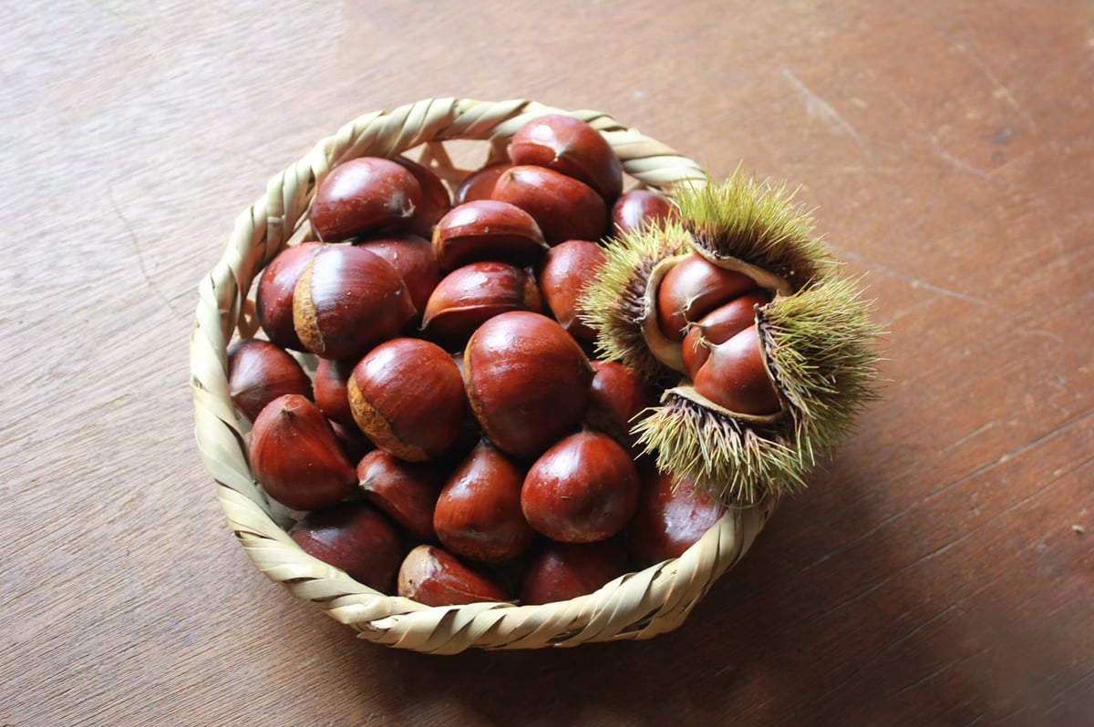 MARIA　農薬不使用生栗 fit=scale-down,w=1200