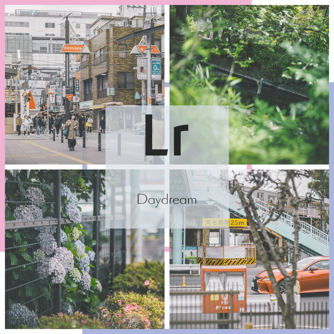 Daydream | ⧉Library