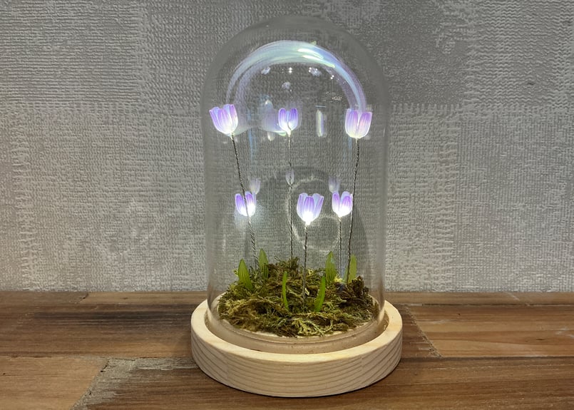 Lumo Tulip Glass Dome (S) 4色 | Bonne Volonte