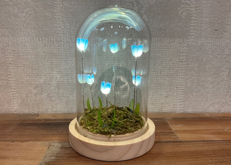 Lumo Tulip Glass Dome (S) 4色 | Bonne Volonte