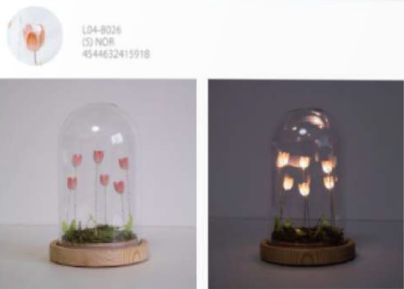 Lumo Tulip Glass Dome (S) 4色 | Bonne Volonte