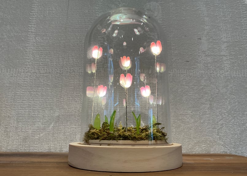 Lumo Tulip Glass Dome (S) 4色 | Bonne Volonte