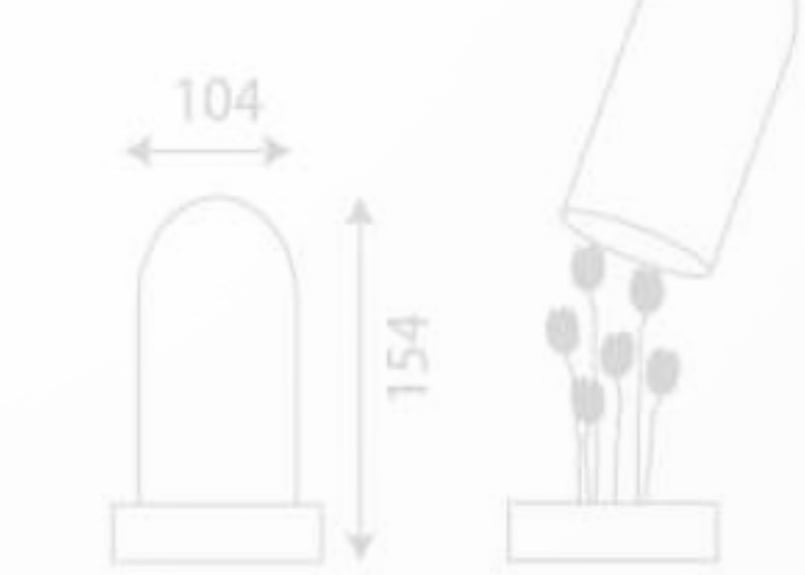 Dome Nancyチューリップタイプのガラスシェード電気スタンド Dome Nancyチューリップタイプのガラスシェード電気スタンド 2025年