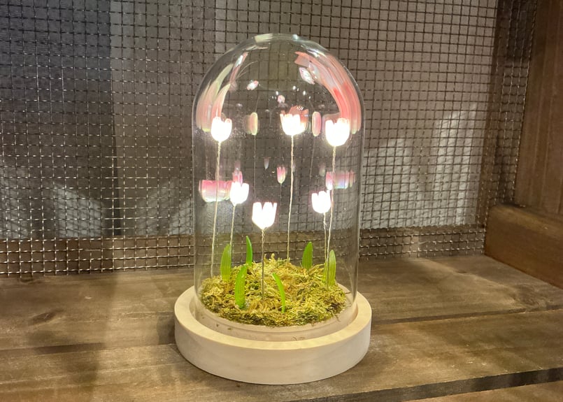 Lumo Tulip Glass Dome (S) 4色 | Bonne Volonte