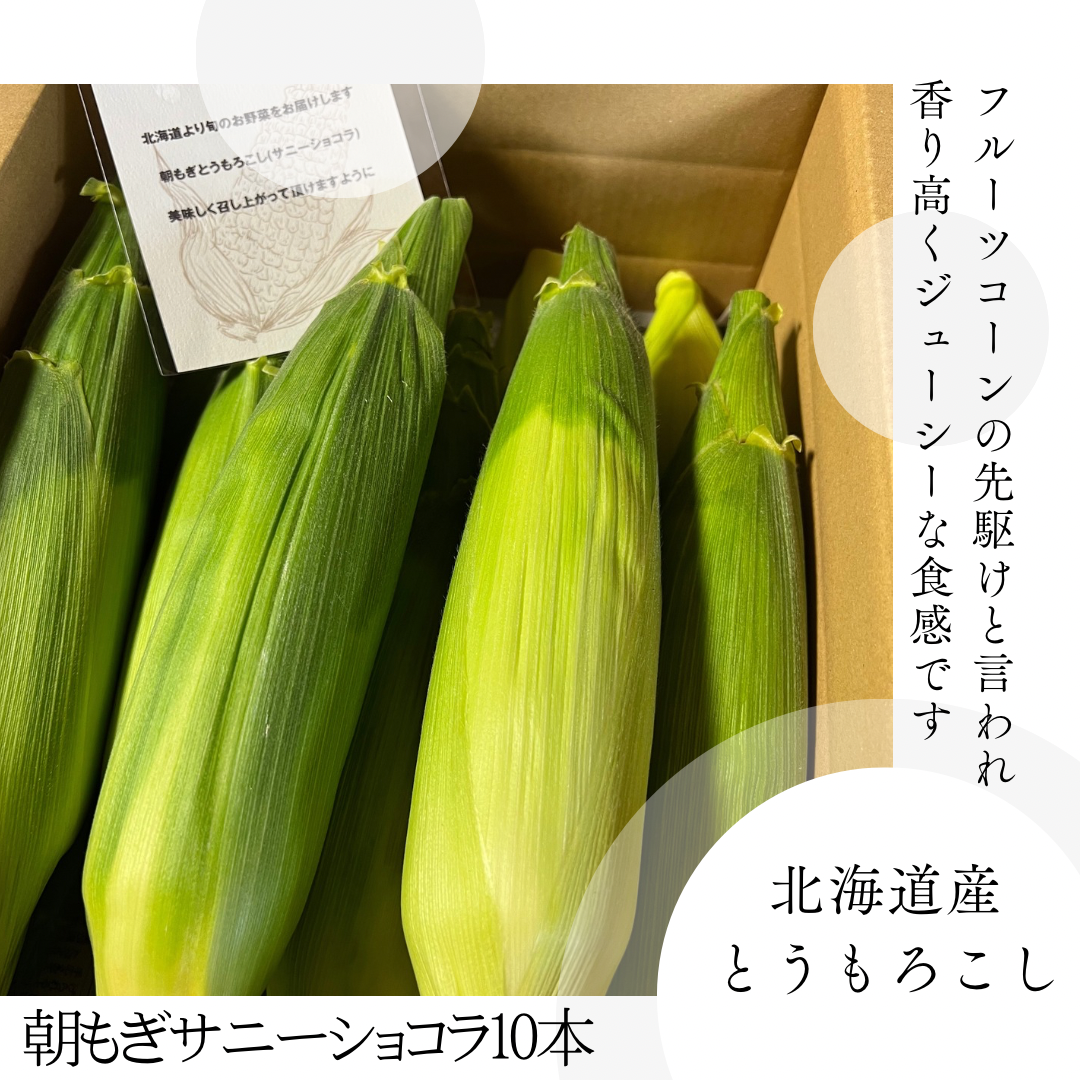 朝もぎサニーショコラ10本 | 増田ファーム