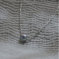 Acoya Pearl Necklace / wayo