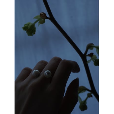Acoya Pearl Ring / wayo