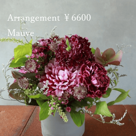 arrangement size SS ￥6600(6000)（配送）