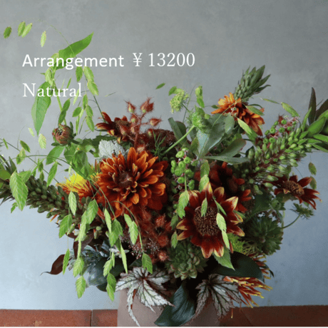 arrangement size M ￥13300(12000)（店頭受け取り）※袋代込