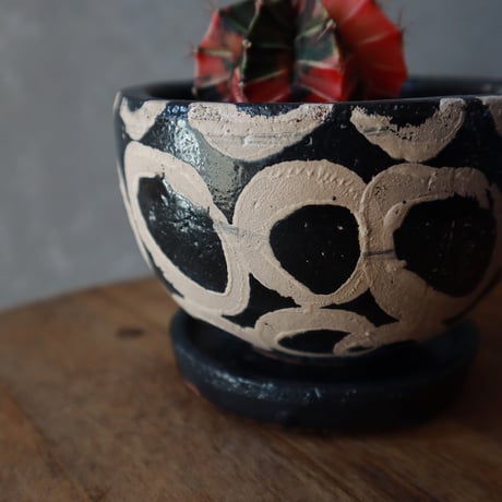 緋牡丹錦（ひぼたんにしき） ￥3,300（3000）※器付き（配送）