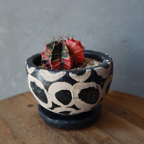 緋牡丹錦（ひぼたんにしき） ￥3,300（3000）※器付き（配送）