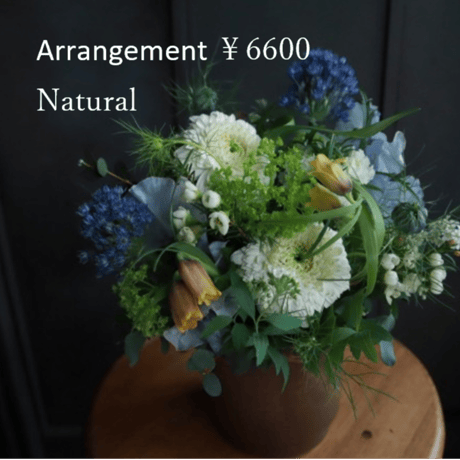 arrangement size SS ￥6600(6000)（配送）