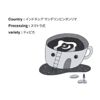 インドネシア | スマトラ式 | マンデリン | ビンタンリマ | 【コーヒー豆100g】
