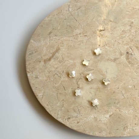 【美品】白蝶貝　貝殻 新品！白蝶贝🐚 🌊白蝶贝/ 白贝母其实就是贝壳，没有功效，但